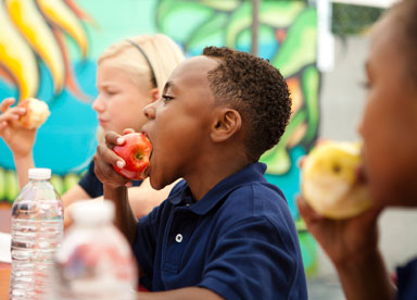 boy eating apple at lunchroom table