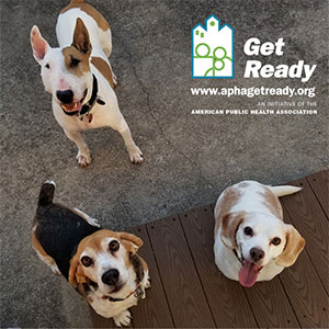 Get Ready logo, three dogs looking at camera