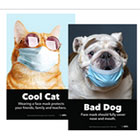 cat and dog wearing face masks