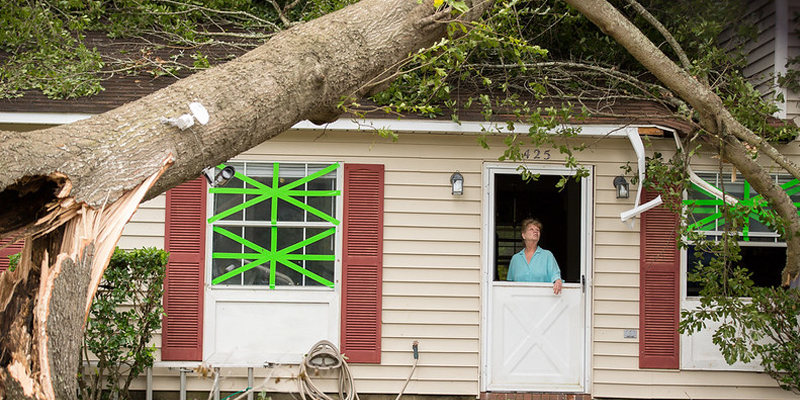 A concerned woman looks out the door of her home, which has a fallen tree on its roof