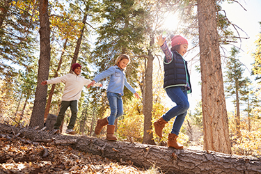 Children play in a forest.