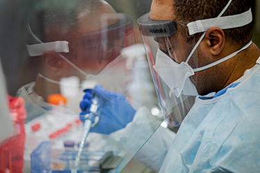 A microbiologist works in a lab